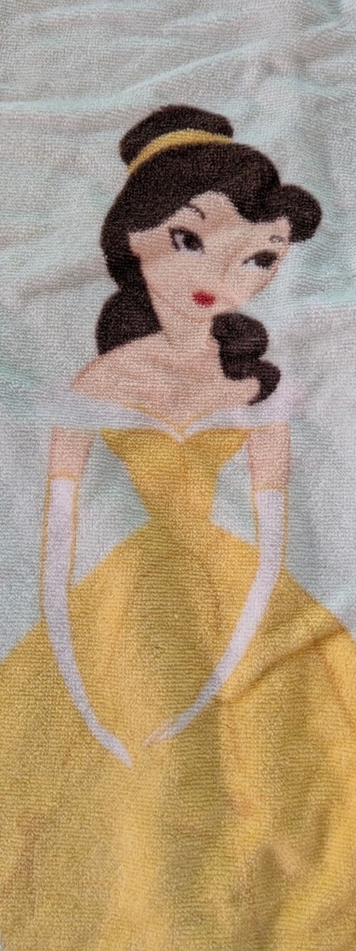 Pottery Barn Disney Princess Hooded Beach Towel - Excellent Condition - Picture 6 of 9